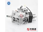 VE Injection pump NJ-VE4/11F1250L004 VE Injection pump NJ-VE4/11F1250L009
