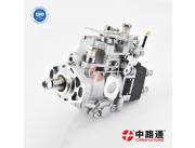 VE Injection pump NJ-VE4/12F1050R381-3 VE Injection pump NJ-VE4/12F1100R1104