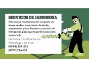 Servicios de Jardinería