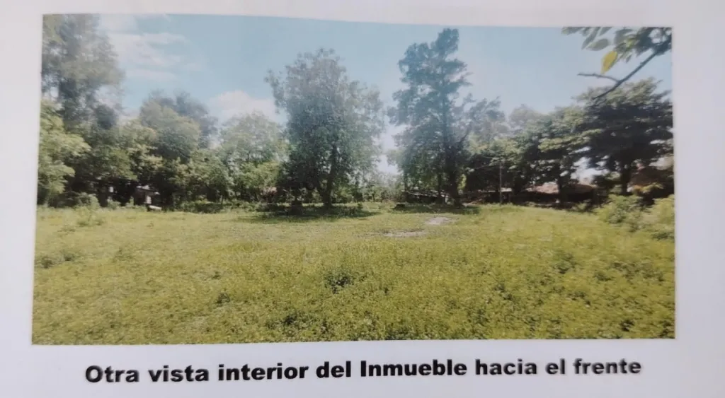 Venta de propiedad 3.333 m² en Barrio San Antonio – Tobatí — foto 2