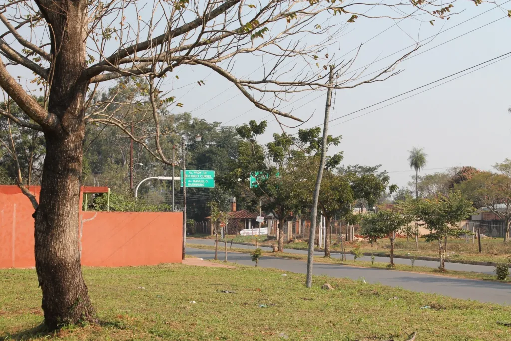TERRENO EN VENTA – SOBRE AVDA. PROFE. DR. VICTORIO CURIEL, SAN LORENZO — foto 3