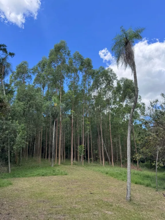 PROPIEDAD RURAL EN VENTA — foto 2