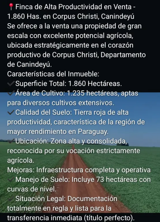 KATUETE, CORPUS CHRISTI CANINDEYU: 1.860 HAS, TIERRA ROJA, ALTO RENDIMIENTO EXTENSIVO, EXP — foto 2