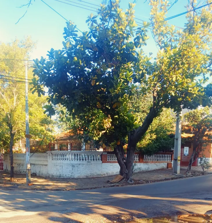 Anuncio 2894918 — foto 2