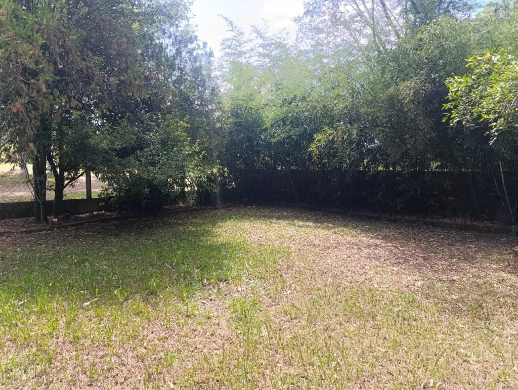 PROPIEDAD IDEAL PARA QUINTA O CASA DE DESCANSO EN ENCARNACION — foto 2