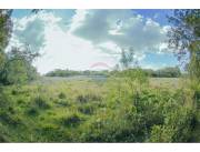 Terreno - Venta - Villarrica, Paraguay, Proyecta!