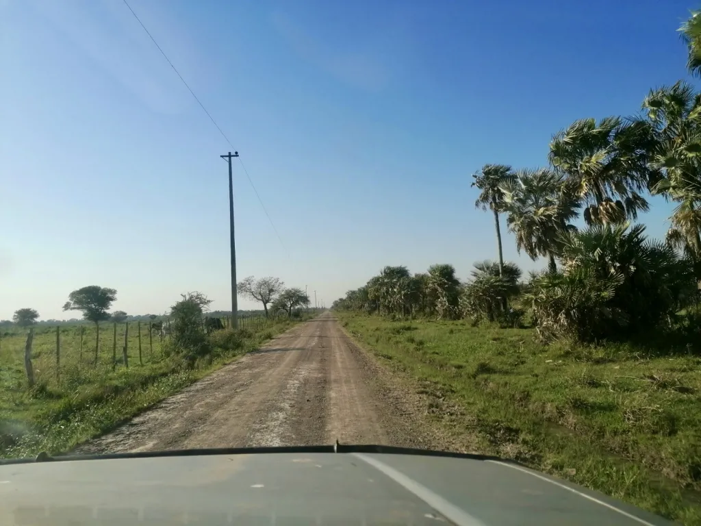 Campo Ganadero Forestal en Villa Oliva - 162 Ha. — foto 2