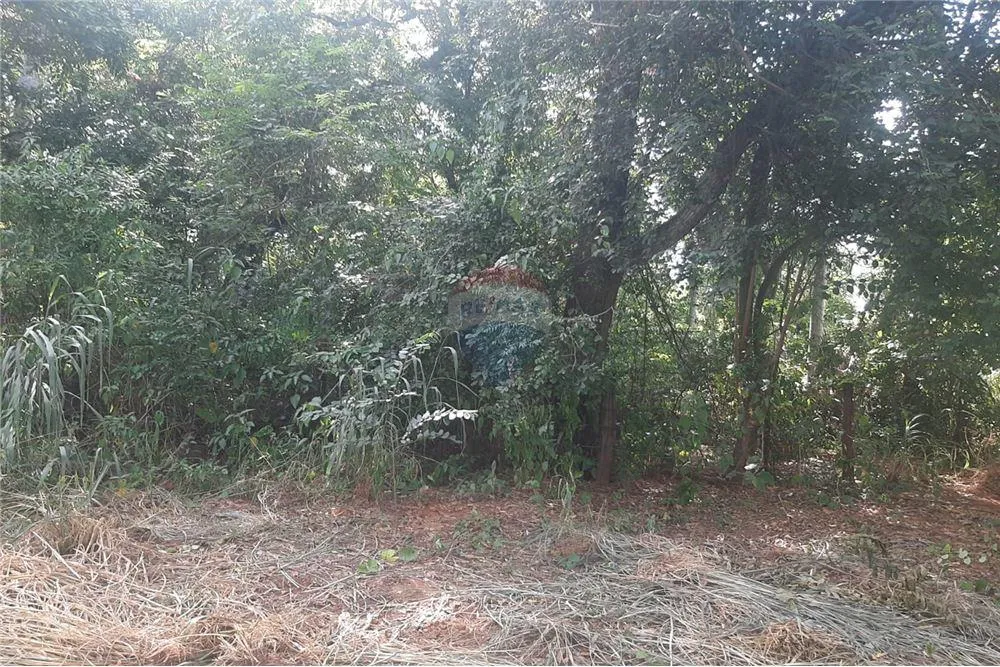 Terreno - Venta - Limpio, Paraguay — foto 2