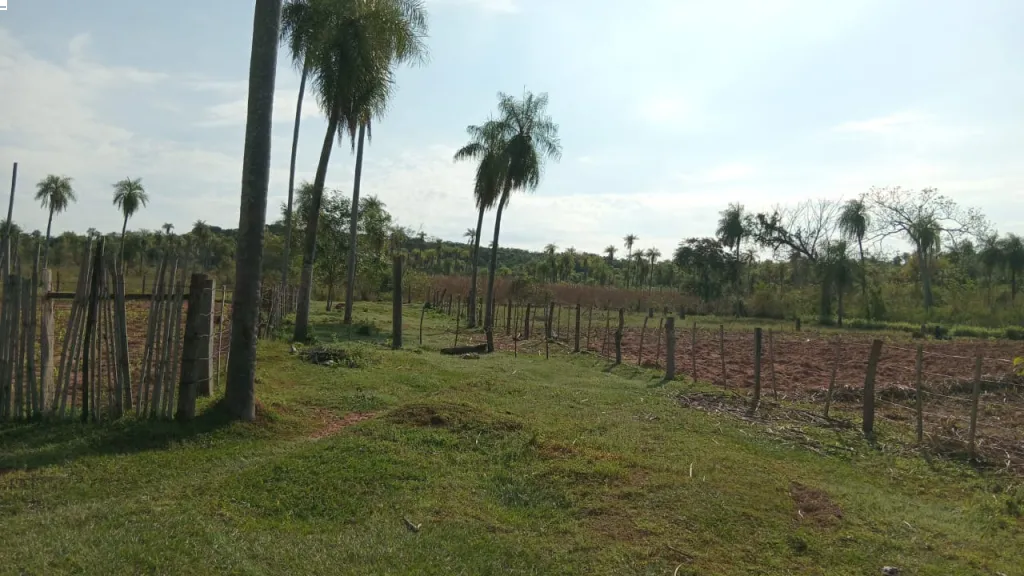 VENDO HERMOSA PROPIEDAD DE 16 HECTÁREAS EN BARRERO GRANDE -EUSEBIO AYALA — foto 2