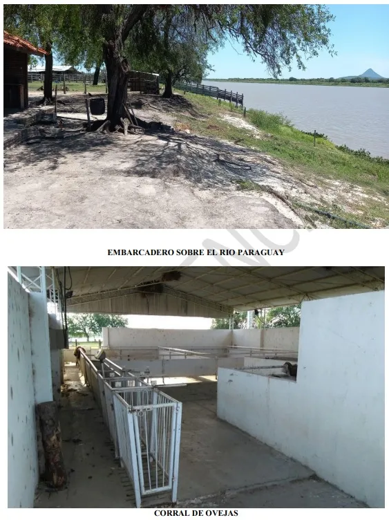CARMELO PERALTA, RUTA BIOCEÁNICA: 7.200 HAS, P PROPUESTAS PORTUARIAS, LOGISTICAS, ETC. — foto 2