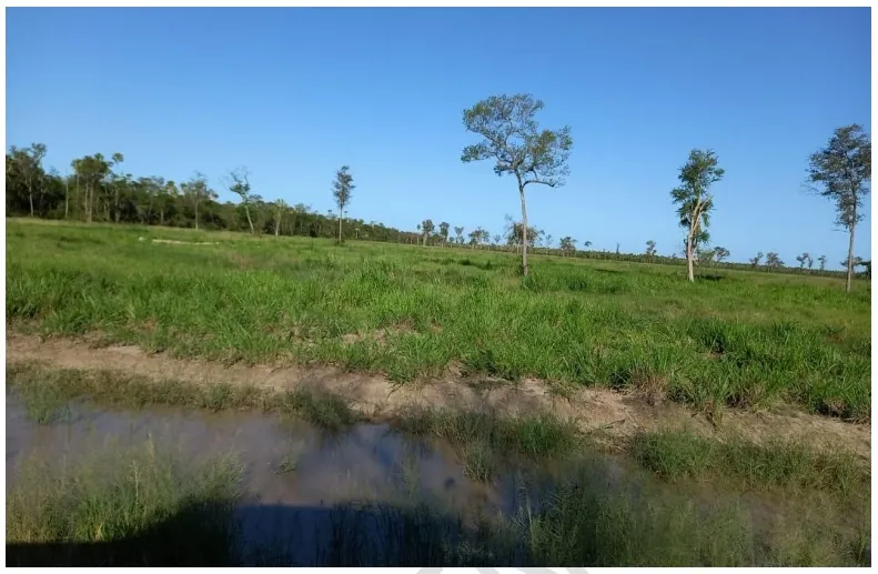 CARMELO PERALTA, LOMA PLATA CHACO: ESTABLECIMIENTO, 9.500 HAS LINDANTES A RUTA BIOCEANICA — foto 2