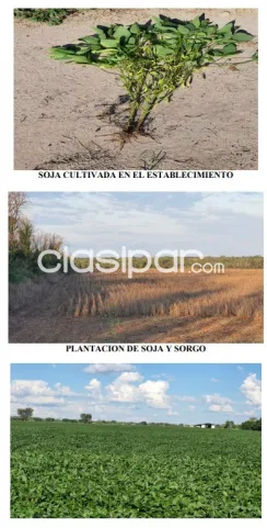 BAHÍA NEGRA, ALTO PY, CHACO: 19.812 HAS, ESTABLECIMIENTO GANADERO MODELO, INFRAESTRUCTURA — foto 3