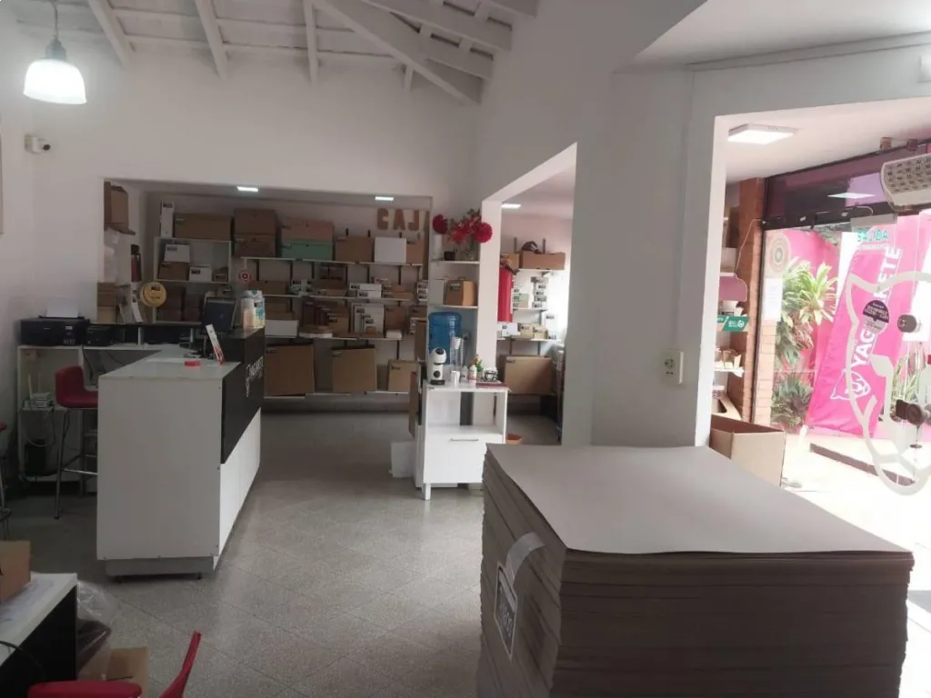 ALQUILO LOCAL COMERCIAL SOBRE GRAL. SANTOS — foto 3
