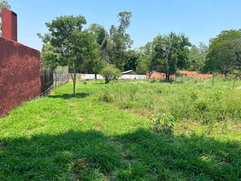 VENDO TERRENO SAN ANTONIO LAS GARZAS — foto 3