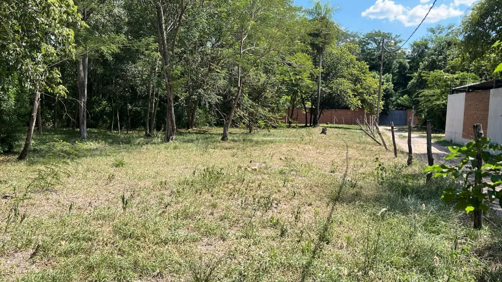 Vendo Terreno separado o juntos en San Bernardino — foto 3