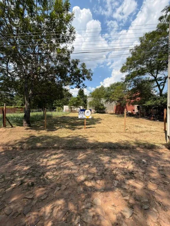 VENDEMOS TERRENO EN LUQUE — foto 3