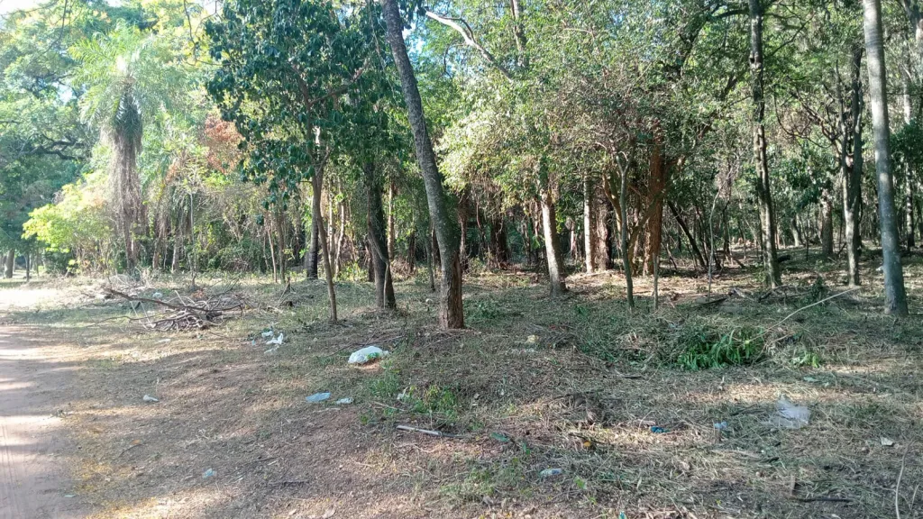 Vendo Terreno en San Bernardino Zona Anfiteatro — foto 2