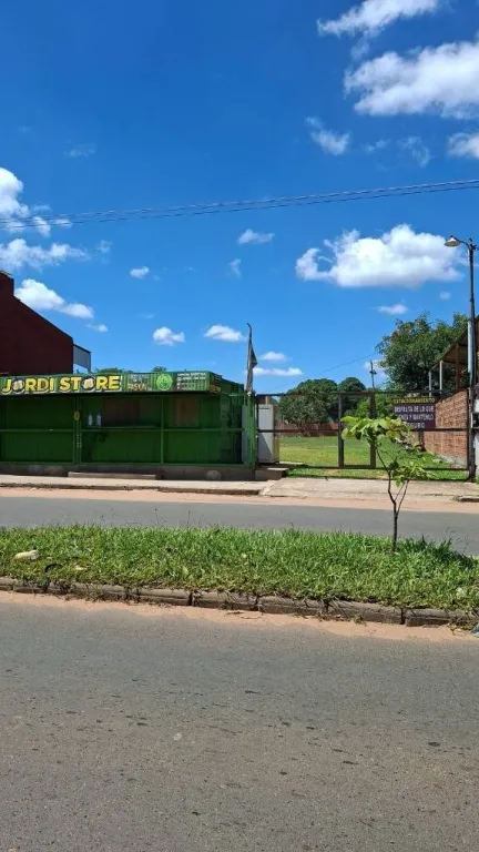 VENDO IMPORTANTE Y AMPLIO TERRENO EN LAURELTY LUQUE, SOBRE AV. BRÍTEZ BORGES — foto 2