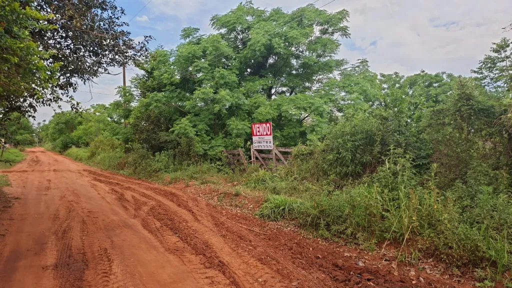 VENDO PROPIEDAD AGRICOLA — Foto 2