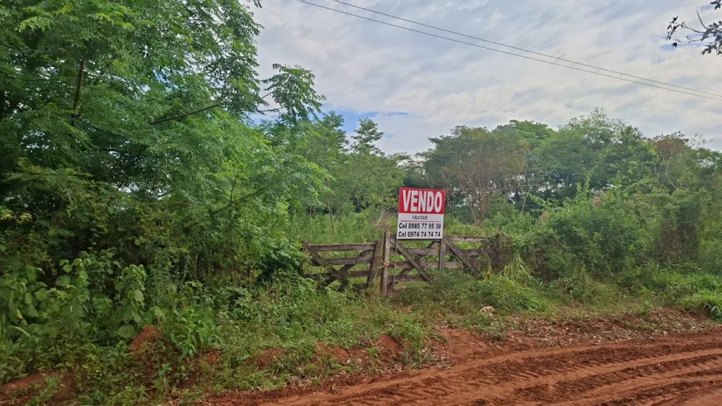VENDO PROPIEDAD AGRICOLA — Foto 3