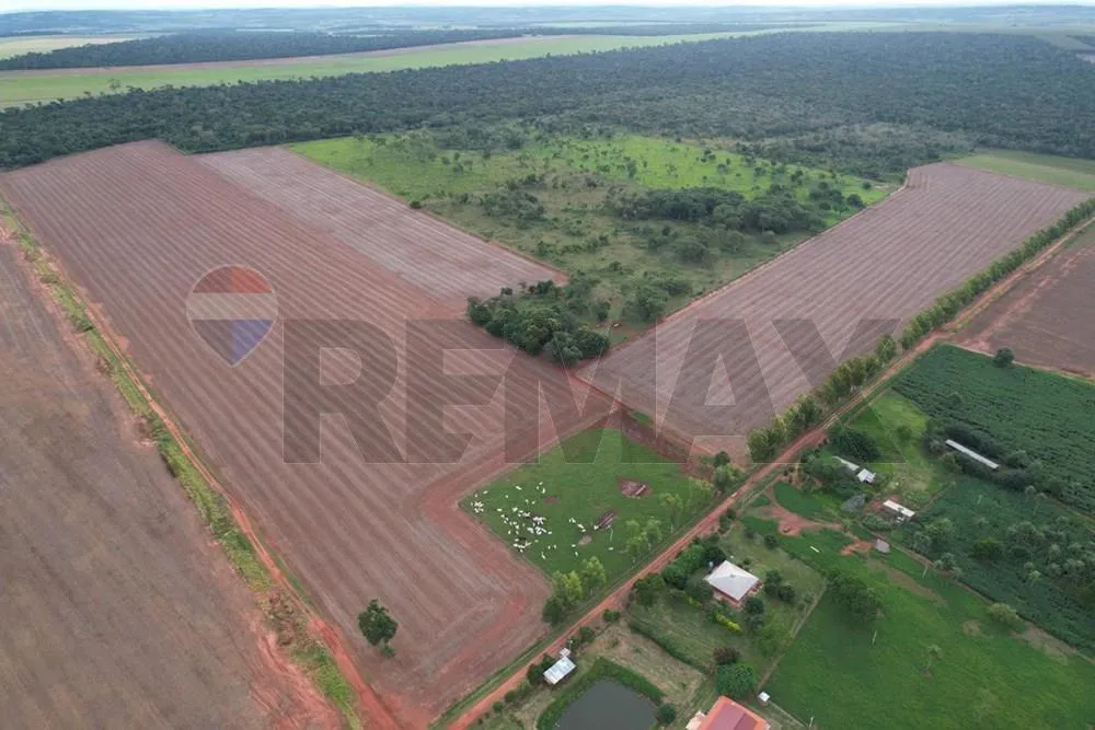 VENDO ESTANCIA FORMADA EN SAN PEDRO — foto 2
