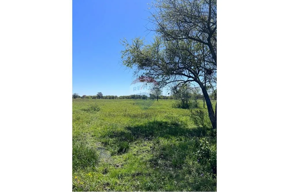 VENDO TERRENO EN NUEVA ASUNCION 4.1 HECTAREAS — foto 3