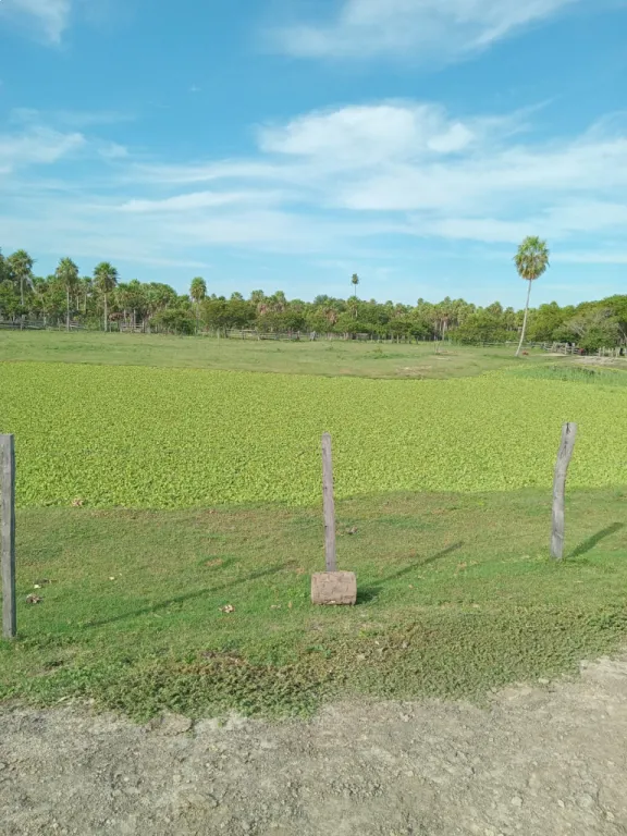 ESTANCIA EN VENTA — foto 3