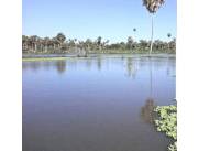 Estancia en venta