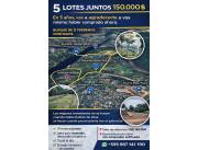 5 lotes juntos Presidente Franco, zona Puente integracion! 2.191mts2 TITULADO!!!! 150.000$