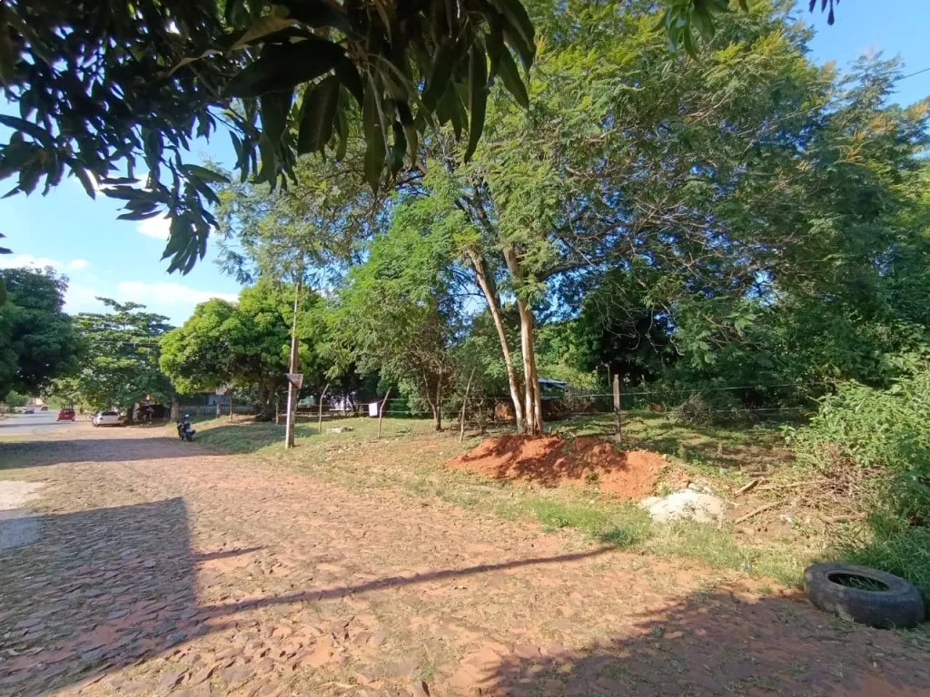 VENDO TERRENO EN ÑEMBY - B. SALINAS — foto 3