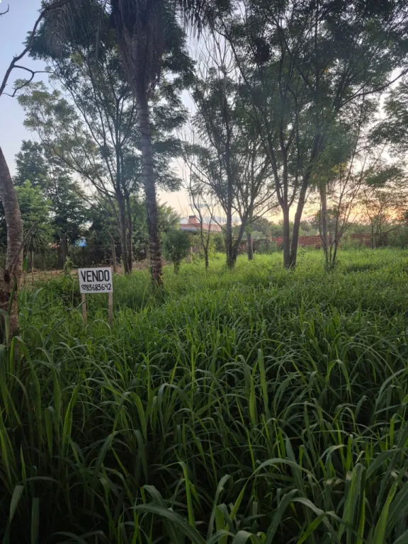 Vendo Terreno baldio en Hohenau - Barrio Alto Jardin — foto 2