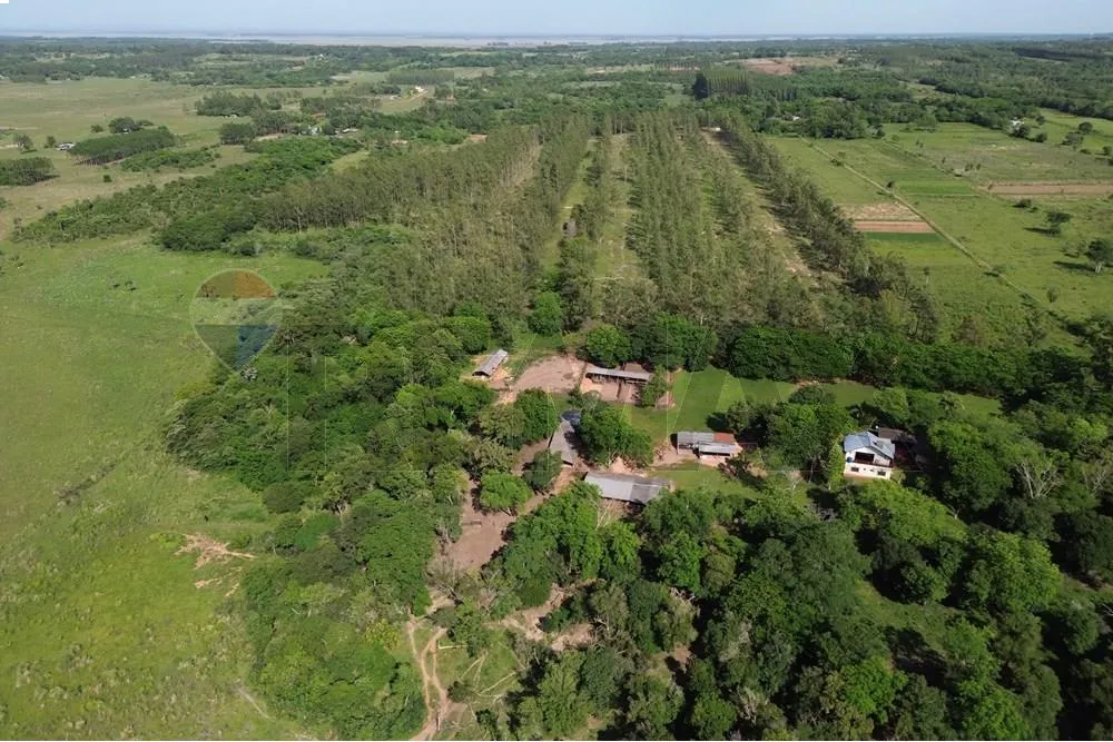 VENDO ESTANCIACAMPO 203 HECTAREAS CNEL.OVIEDO-CAAGUAZU 4 ARROYOS PASAN X LA PROPIEDAD — foto 2