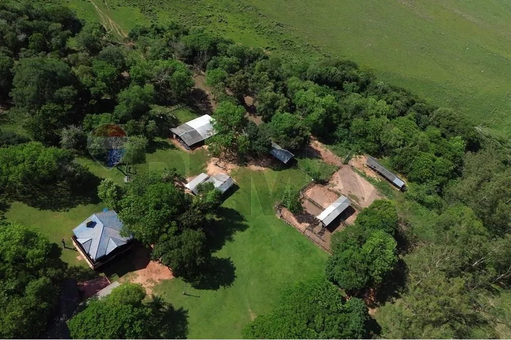 VENDO ESTANCIACAMPO 203 HECTAREAS CNEL.OVIEDO-CAAGUAZU 4 ARROYOS PASAN X LA PROPIEDAD — foto 3