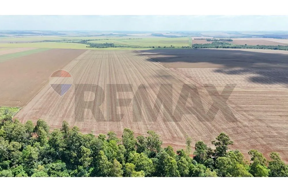 VENDO PROPIEDAD 78,9 HECTAREAS EN SANTA RITA-ALTO PARANA CPOTENCIAL GRANJA O LOTEAMIENTO — foto 2