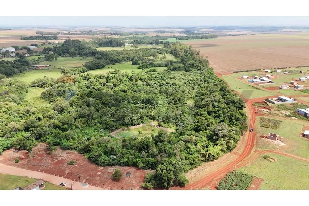 VENDO PROPIEDAD 78,9 HECTAREAS EN SANTA RITA-ALTO PARANA CPOTENCIAL GRANJA O LOTEAMIENTO — foto 3