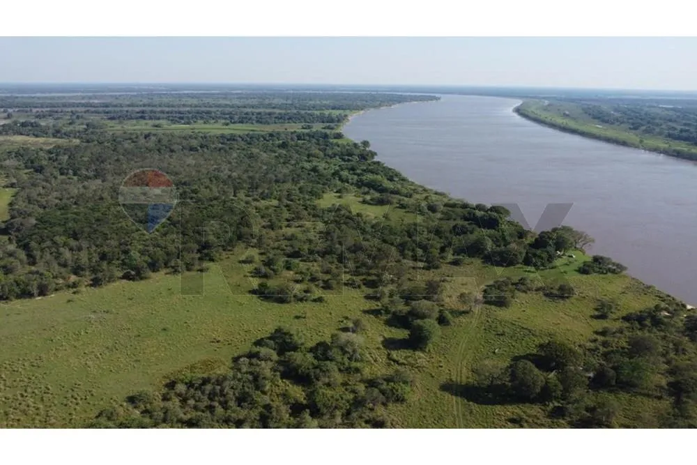 VENDO 250 HECTAREAS CAMPLIO FRENTE SEL RIO PARAGUAY BORDEA FRANTERA CARGENTINA EN PILAR — foto 2