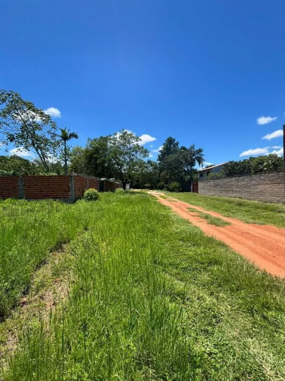 Anuncio 2898271 — foto 2