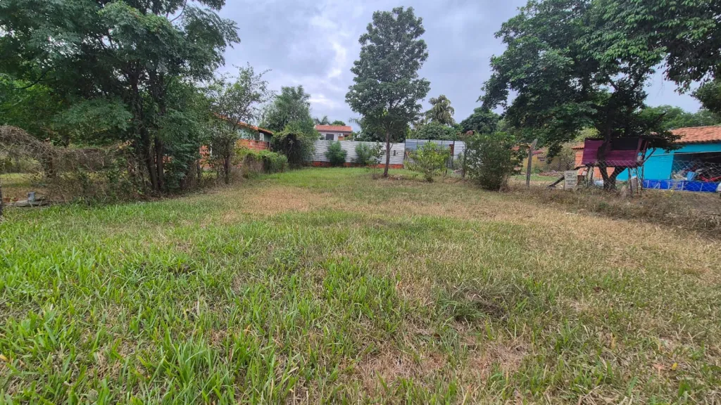 TERRENO EN VENTA EN LIMPIO — foto 2