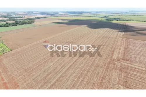 EstanciaCampo-Venta-PY Alto Paraná Santa Rita — foto 2