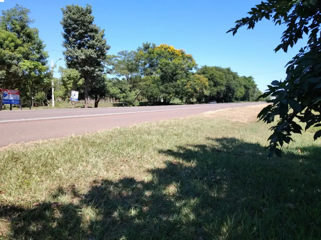 EN VENTA – 24 HECTÁREAS en SAN PEDRO YPAJERE — foto 3