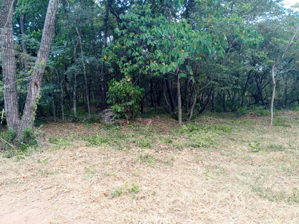 VENDO DOS TERRENOS JUNTOS 2000 MTS2. — foto 2