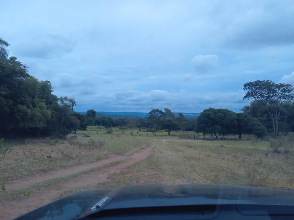 VENDO DOS TERRENOS JUNTOS 2000 MTS2. — foto 3