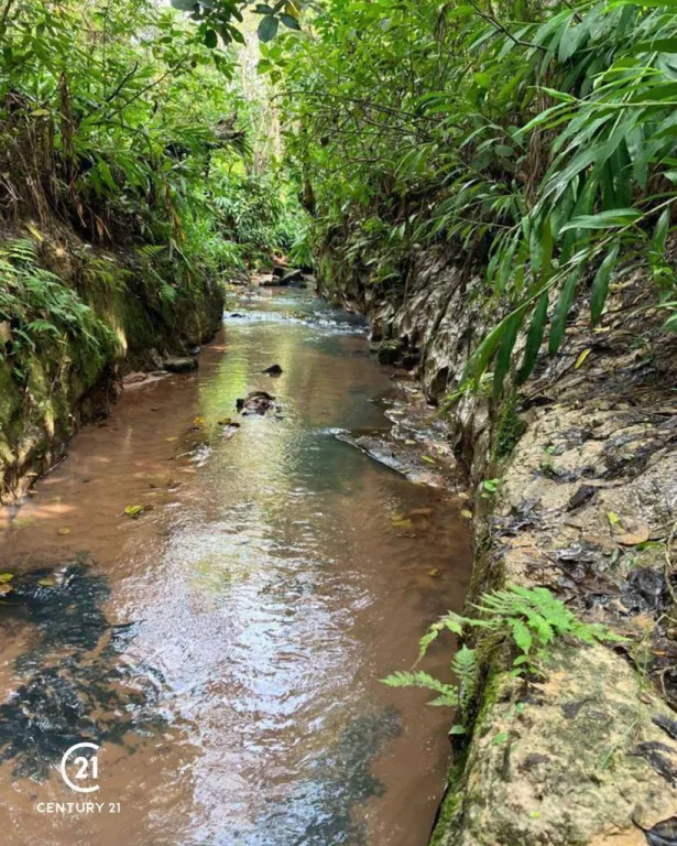 Vendo terreno 2.4 hectáreas con arroyo en Altos Cordillera — foto 2