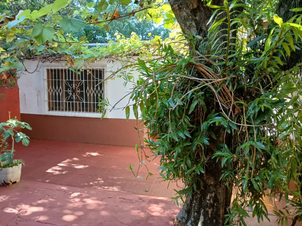Vendo Edificio en el centro de Encarnación — foto 3