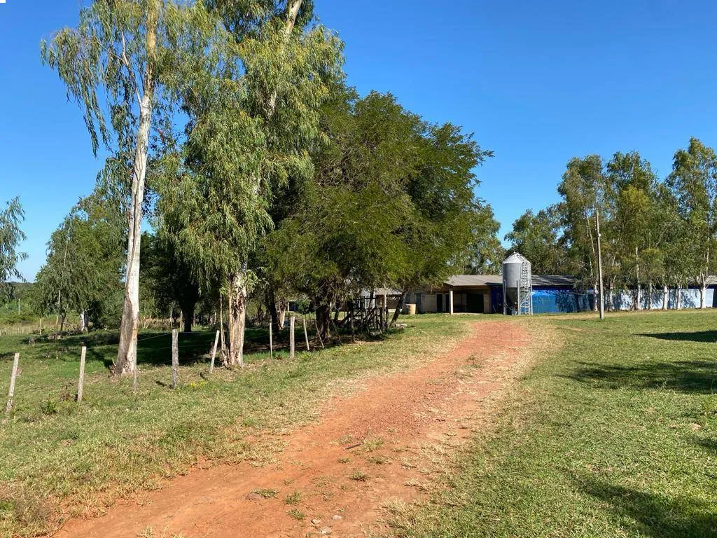 VENDO 24 HECTÁREAS EN ISLA BOGADO - LUQUE — foto 2