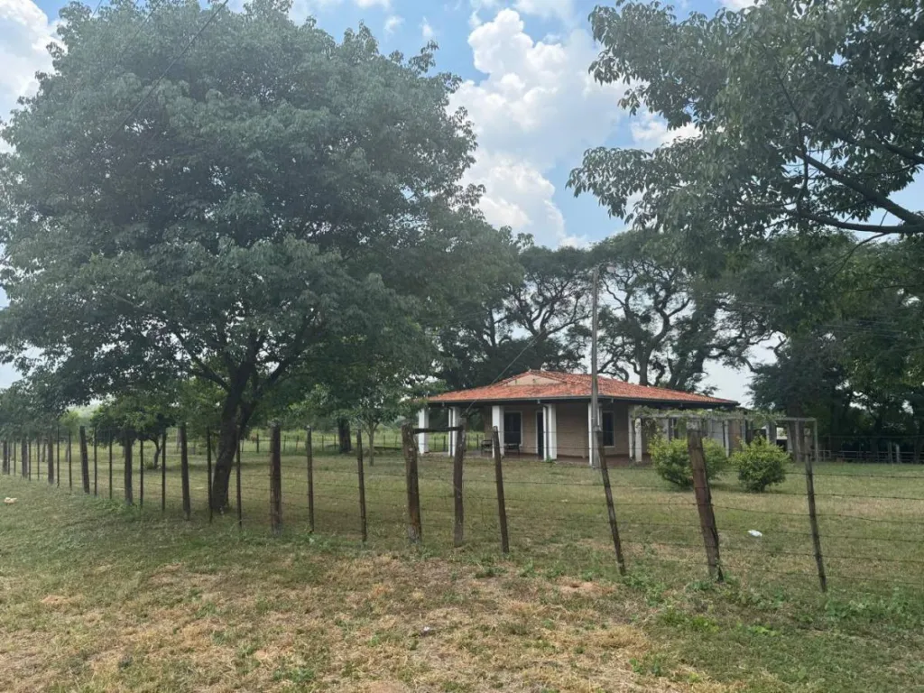 VENDO 24 HECTÁREAS EN ISLA BOGADO - LUQUE — foto 3