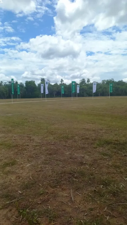 NUEVO LOTEAMIENTO EN YPACARAÍ — foto 3