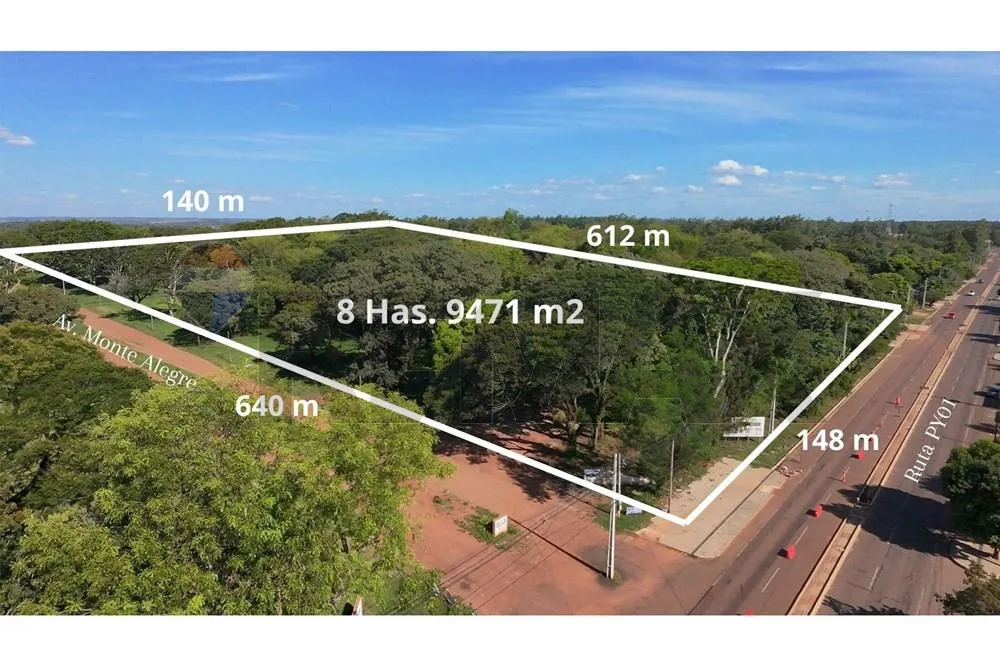 VENDO 8.9 HECTAREAS EN CORONEL BOGADO SOBRE RUTA — foto 2