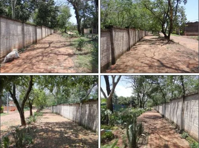 Inversión única de 3 HAS Lote Guazú, San Lorenzo — foto 2