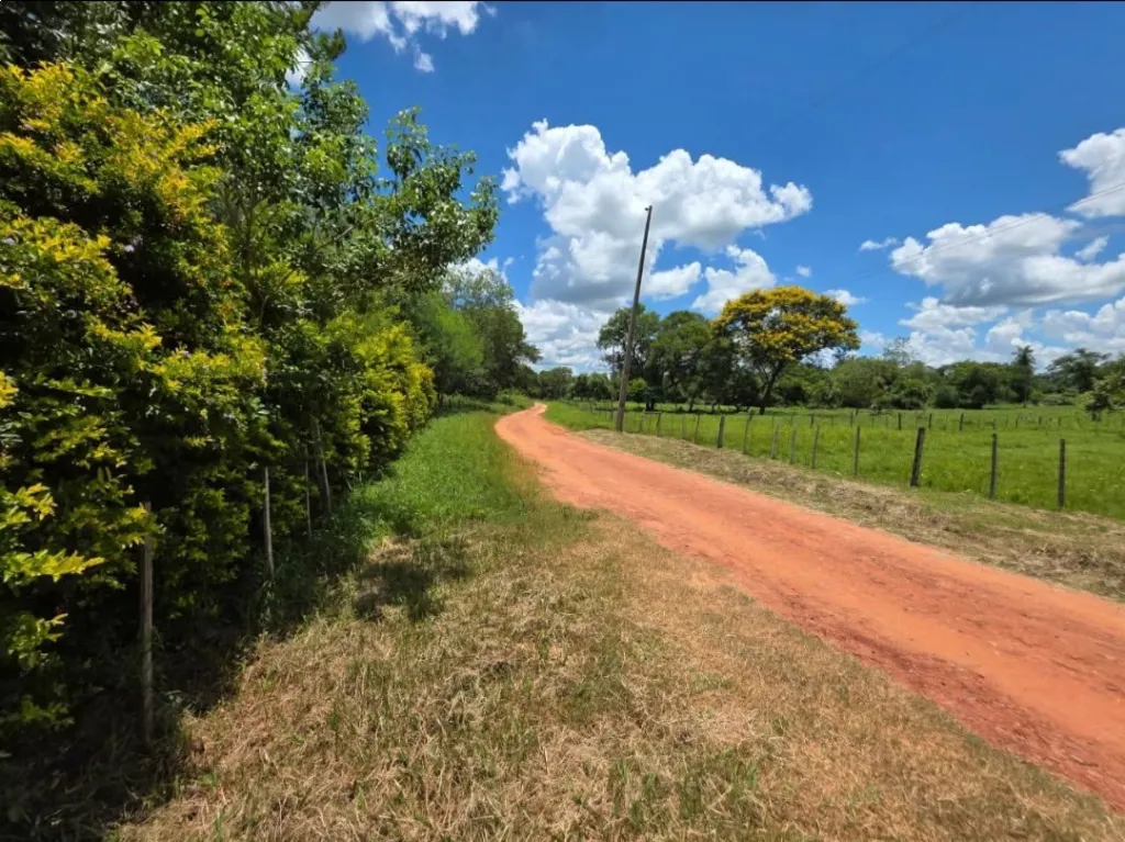 Granja de 12.7 Ha c Casa y 2 Tajamares - San Pedro (Oferta) — foto 2